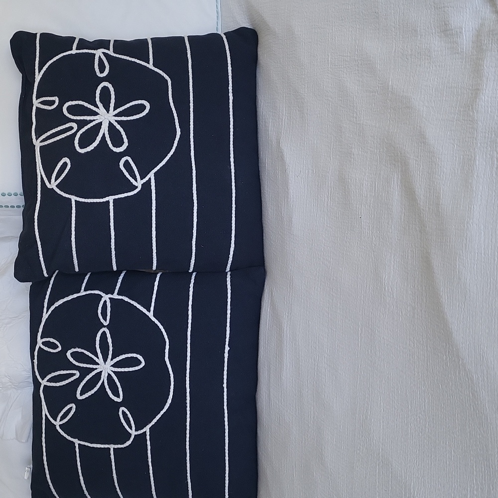 2 18x18 Navy pillows